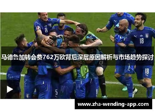 马德鲁加转会费762万欧背后深层原因解析与市场趋势探讨